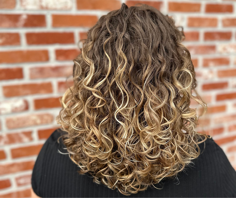 Krullenkapper Kortrijk